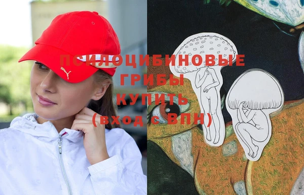 apvp Медвежьегорск