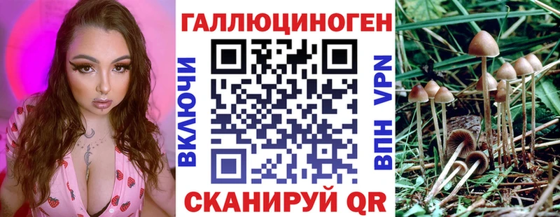 Галлюциногенные грибы мухоморы ОМГ ОМГ зеркало Правдинск